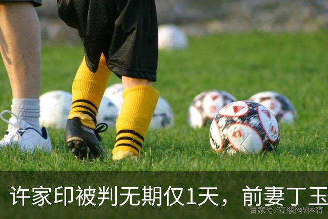 许家印被判无期仅1天，前妻丁玉梅被扒底朝天，境外处境备受关注